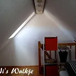 Tonis-wulkje-1 *