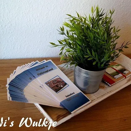 Tonis-wulkje-1 Feriehus Ditzum