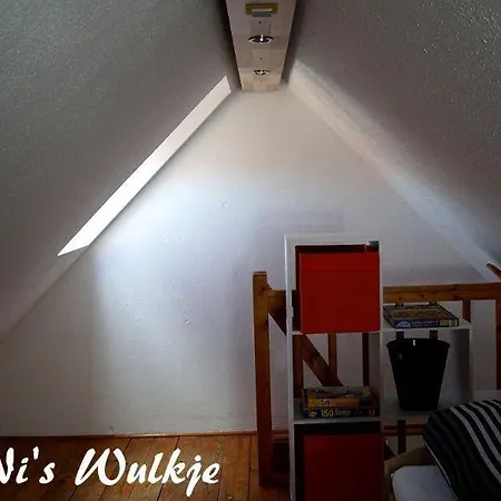 Tonis-wulkje-1 *